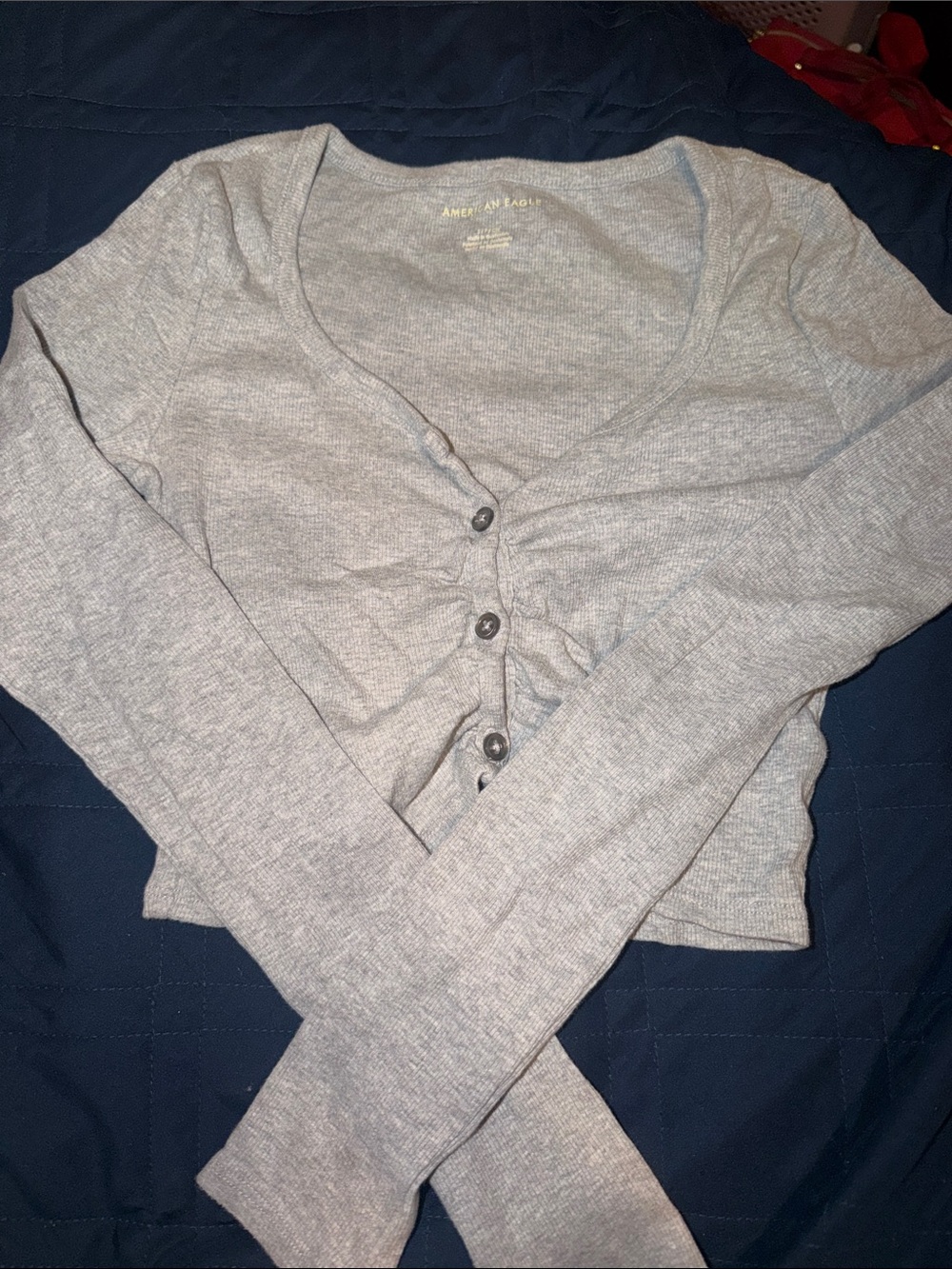 American Eagle Outfitters Gray Ribbed Button-Front Women's Crop Top